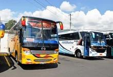 Buses de transporte interprovincial en una terminal terrestre de Ecuador
