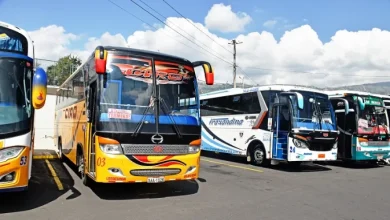 Buses de transporte interprovincial en una terminal terrestre de Ecuador