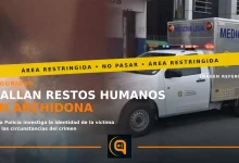Policía investiga hallazgo de restos humanos en San Vicente de Archidona