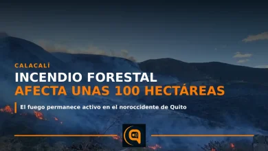 Incendio forestal en el sector Rayocucho de Calacalí, Quito